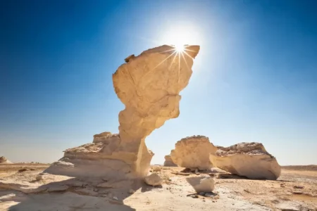 Bahariya Oasis on the White Desert Tour