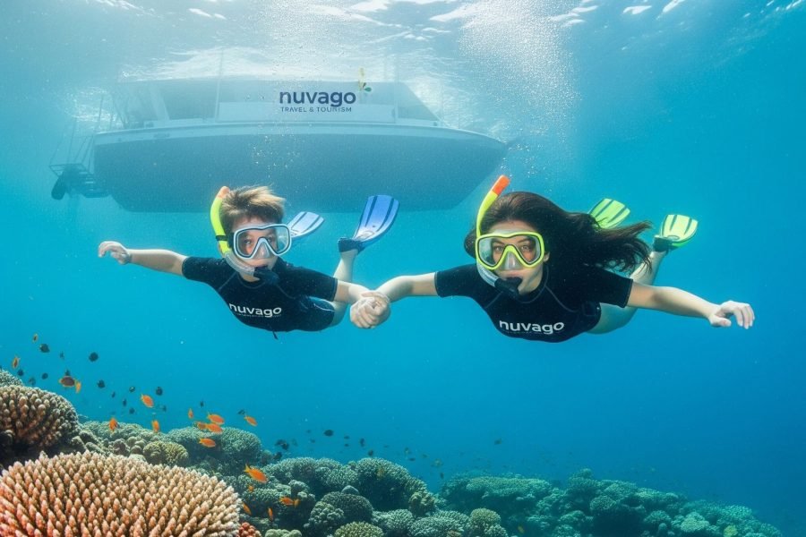 Exploring Depths and Scuba Diving in Hurghada