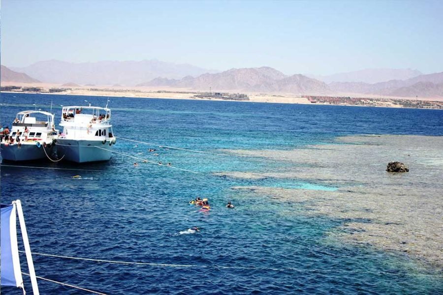 Half-day Snorkeling Boat trip with lunch and drinks from Sharm El Sheikh