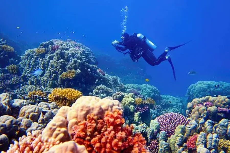 Pristine beach and turquoise waters in Marsa Alam Egypt