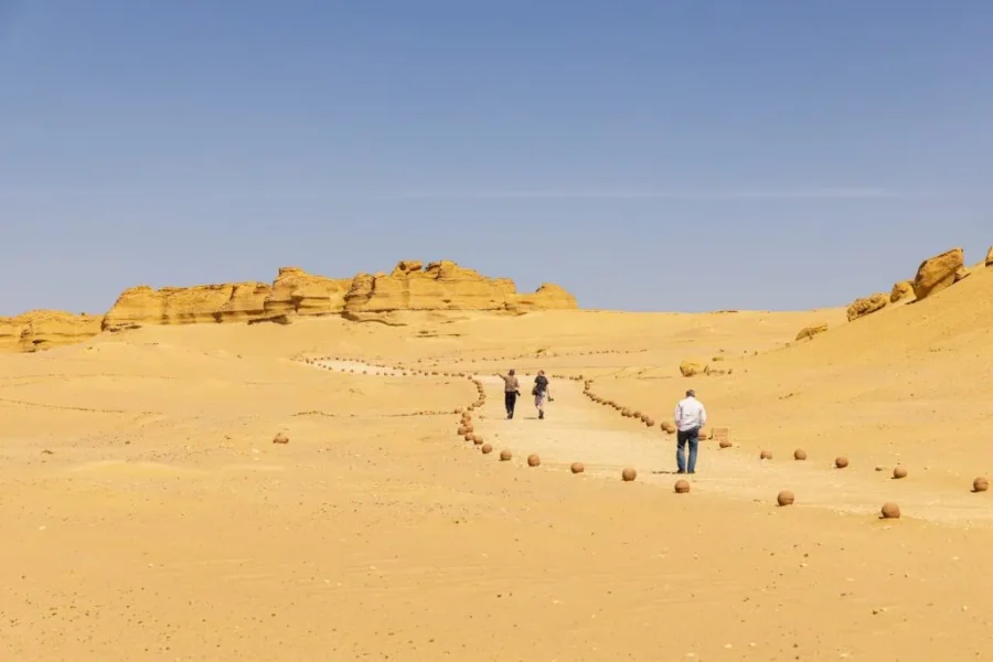 Fayoum Day Tour Oasis Egypt