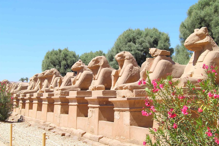Luxor Highlights Full-Day Tour from Hotels and Nile Cruises